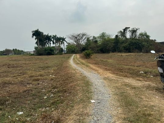Cần bán đất lúa