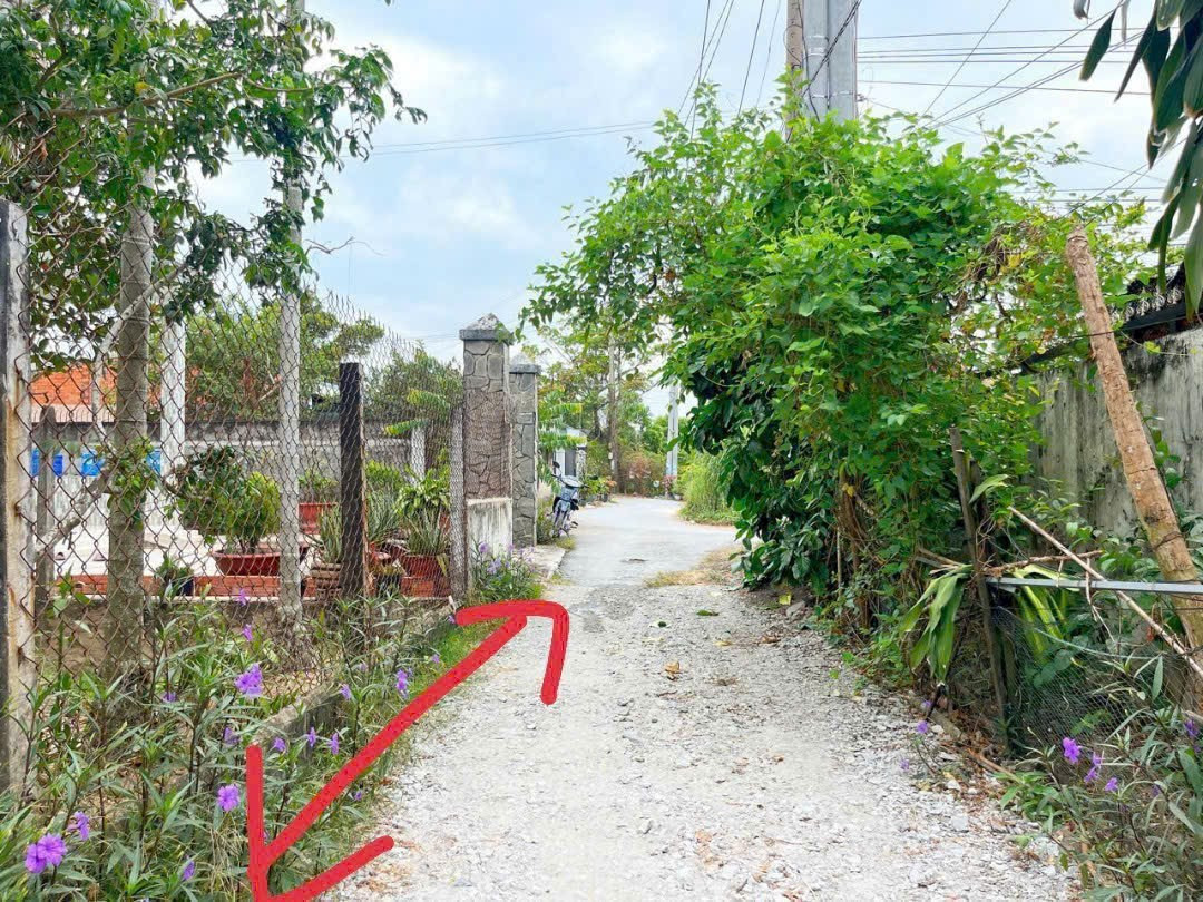 Bán đất 296.3m² 2.4 tỷ tại Xã Đức Hòa Hạ Huyện Đức Hòa