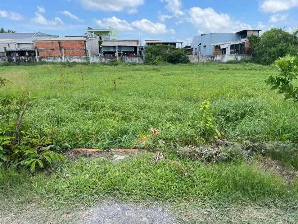 Bán đất 1311.7m² 850 triệu tại Xã Đức Hòa Thượng Huyện Đức Hòa