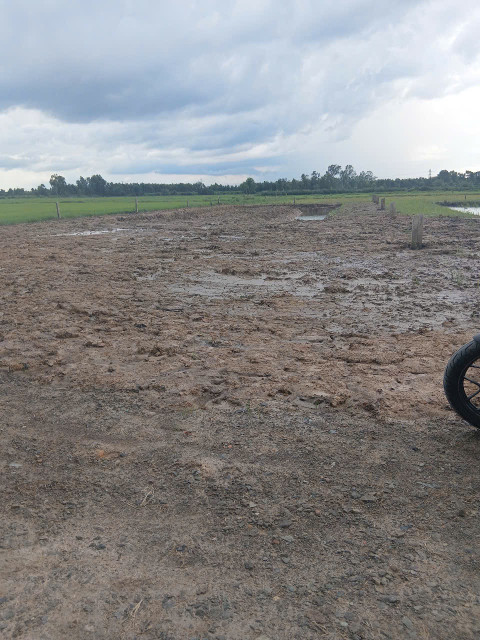 Đất lúa 23x45m giá 400tr