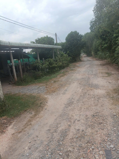 Cần bán gấp, đất full thổ cư