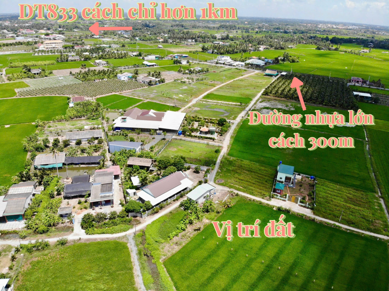 Bán đất 150m² giá 450 triệu tại Xã Đức Tân Huyện Tân Trụ