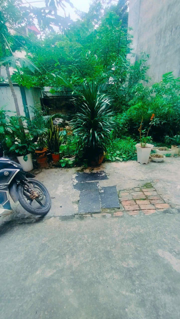 BÁN ĐẤT ĐỨC THƯỢNG- KHÔNG LỖI-SÁT HỒ-55M- 3 TỶ CÓ THƯƠNG LƯỢNG
