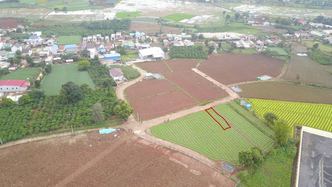 Lô đất rẻ nhất Xã Đức Trọng. Lâm Đồng có Thổ cư đường rộng 6m
