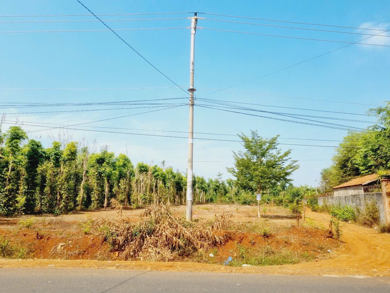 Bán đất 1002.2m² giá 4.2 tỷ tại Xã Ea Bar Huyện Buôn Đôn