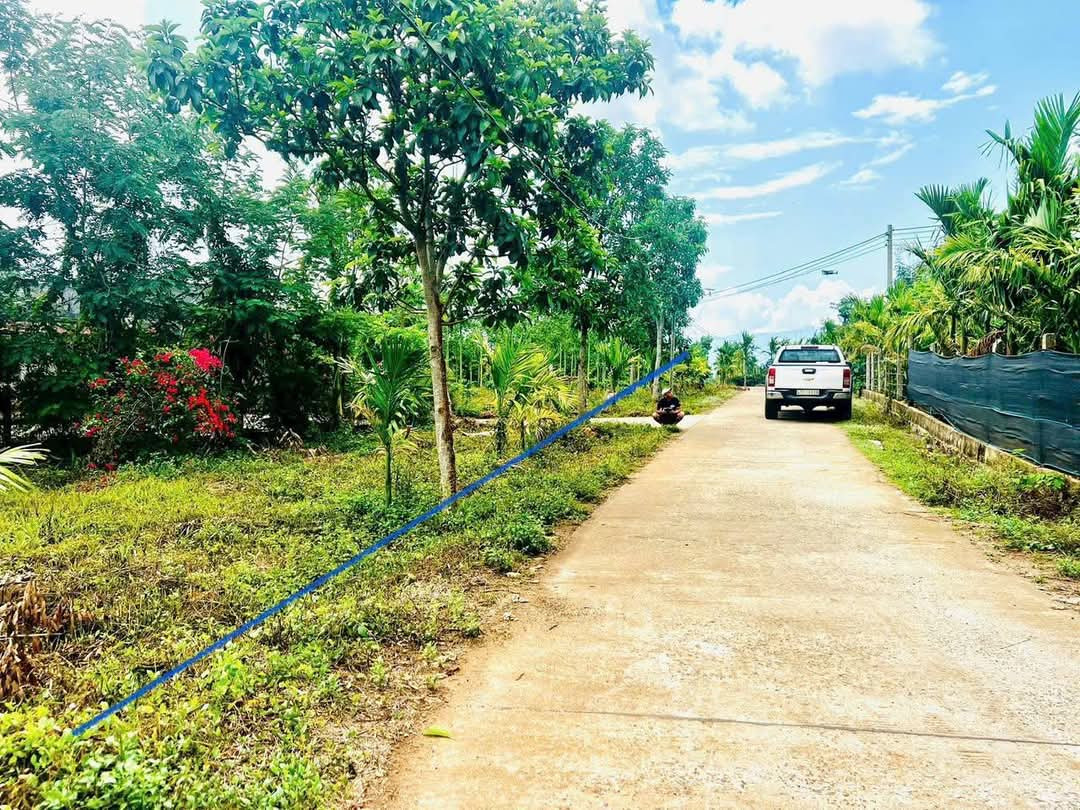 Bán đất thổ cư 6000m² 2.15 tỷ tại Xã Ea BHốk Huyện Cư Kuin
