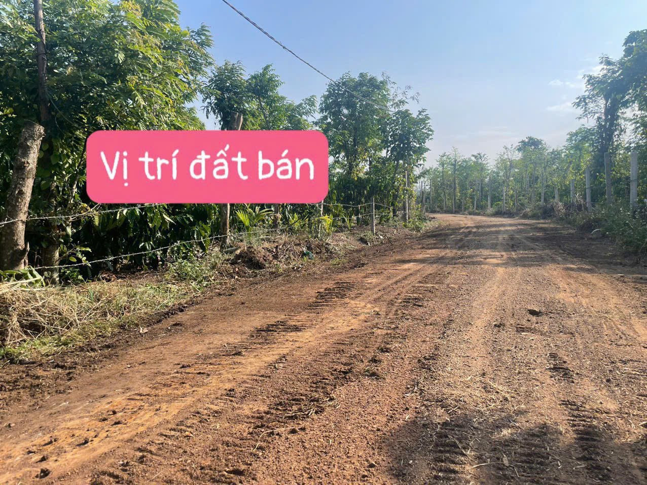 Bán đất 1000m² ngang 15m giá 245 triệu tại Xã Ea BHốk Huyện Cư Kuin