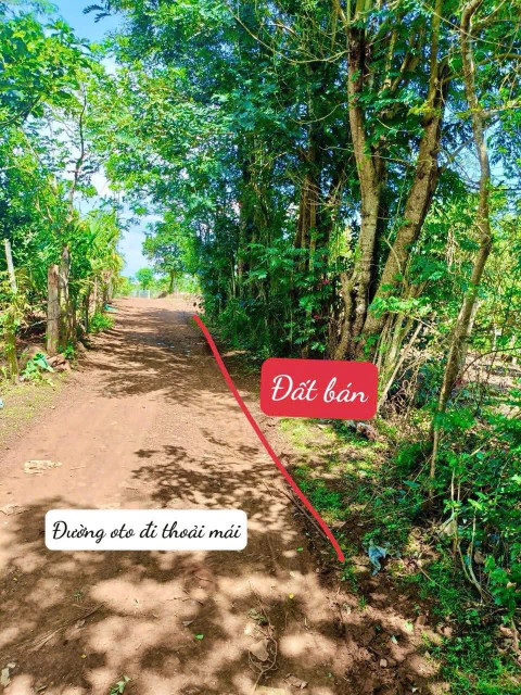 Bán đất 200m² 279 triệu tại Xã Ea Blang Thị xã Thị Xã Buôn Hồ