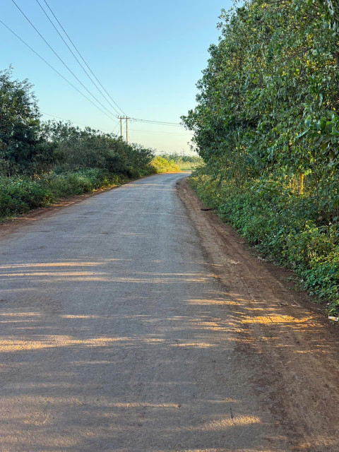𝐄𝐀𝐃𝐑𝐎𝐍𝐆 𝐅𝐔𝐋𝐋 HỒNG 𝐓𝐑𝐔̣𝐂 𝐂𝐇𝐈́𝐍𝐇 ĐƯỜNG LIÊN HUYỆN CUORDANG--CƯMGAR