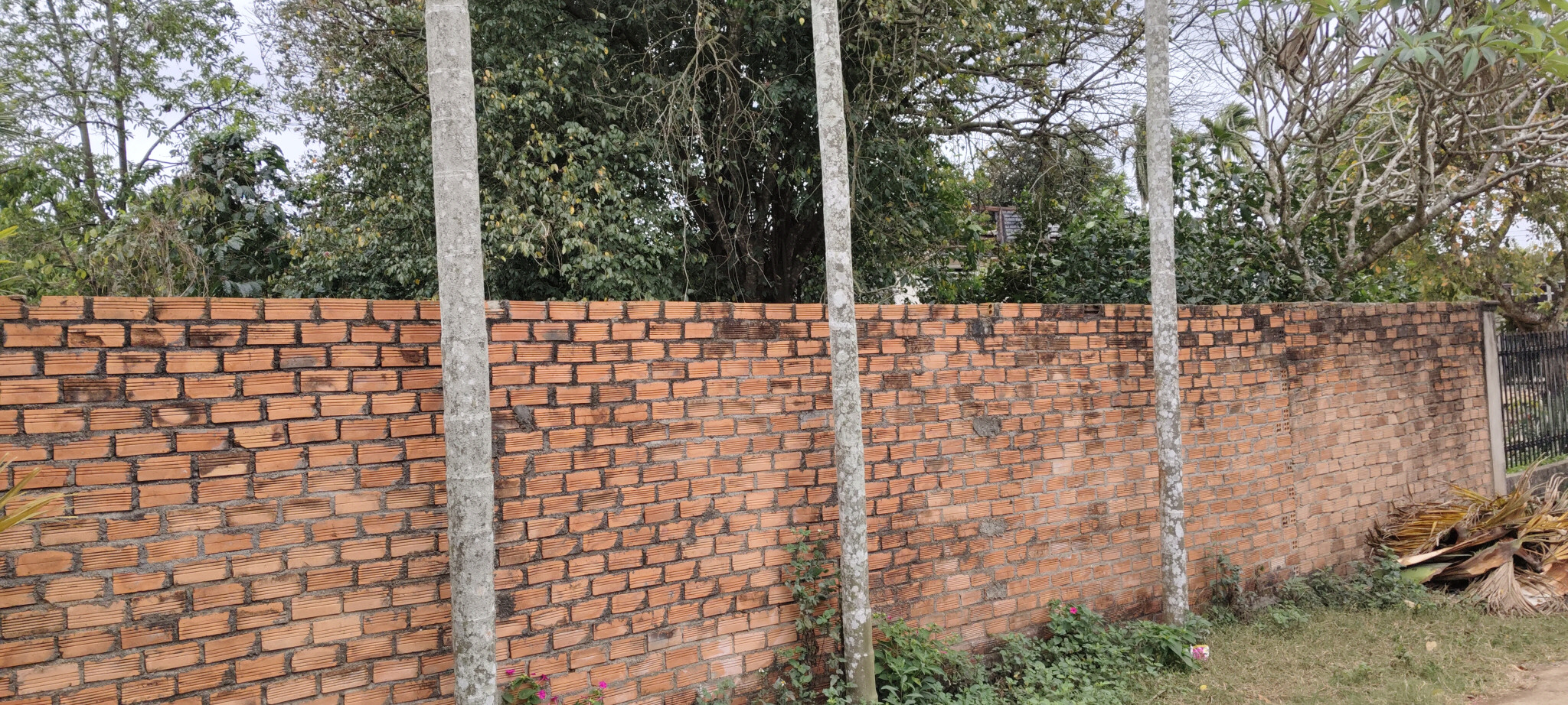 Bán đất 139.2m² 398 triệu tại Xã Ea D'Rơng Huyện Cư M'gar