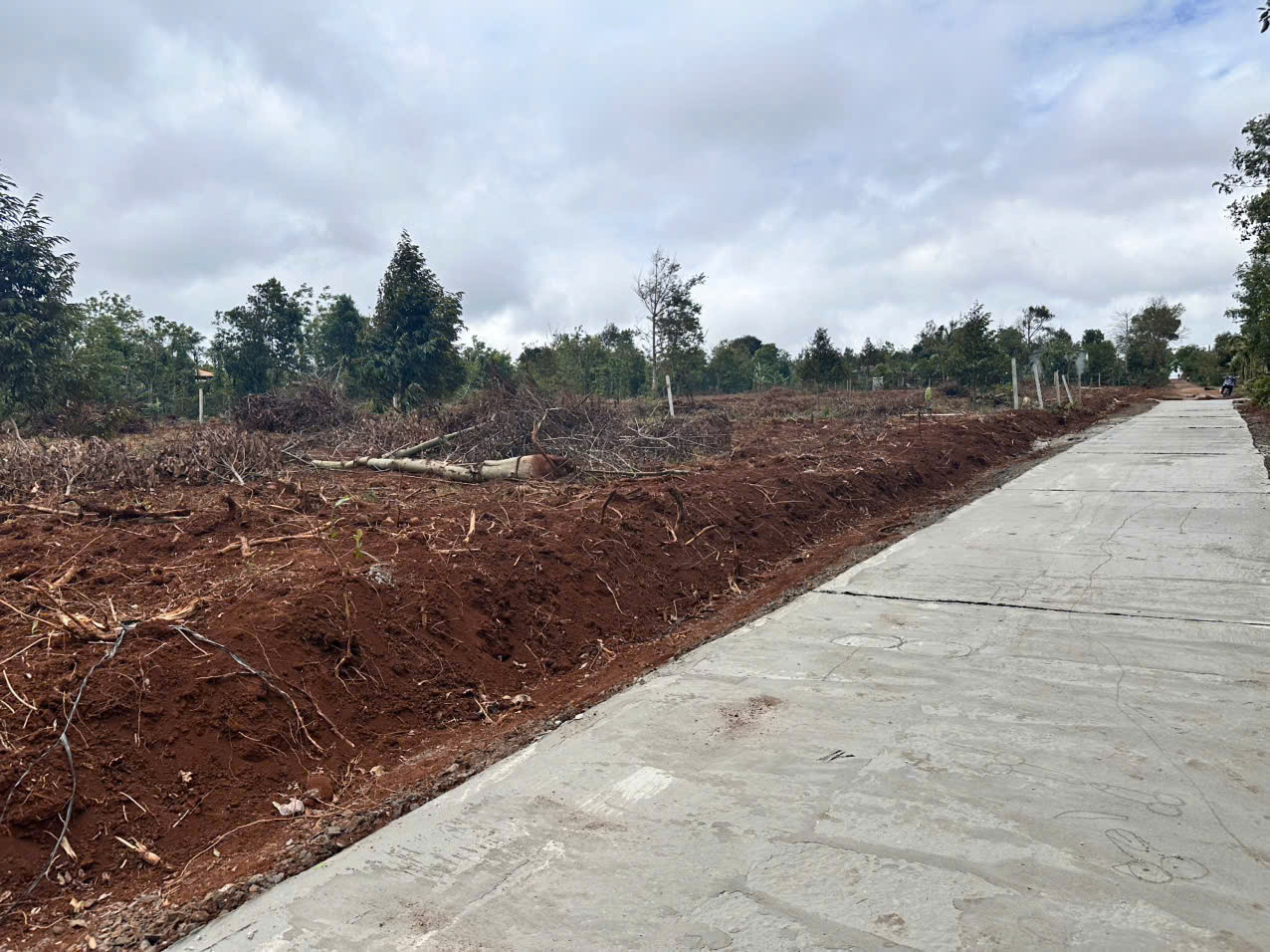 Bán 6 lô đất 170m² 295 triệu tại Xã Ea D'Rơng Huyện Cư M'gar