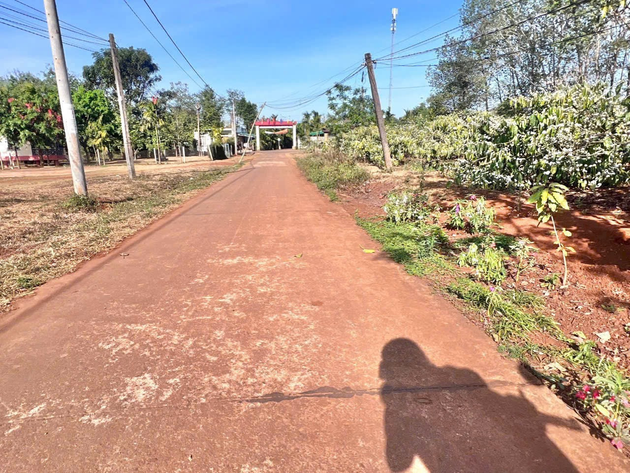 Bán đất 115m² giá 299 triệu tại Xã Ea D'Rơng Huyện Cư M'gar