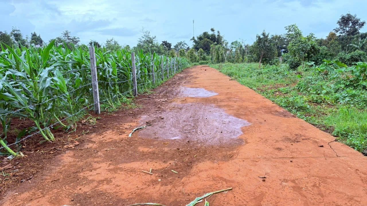 vị trí đẹp bên hông ủy ban - công an - trường học - cách KCN chỉ 800m
