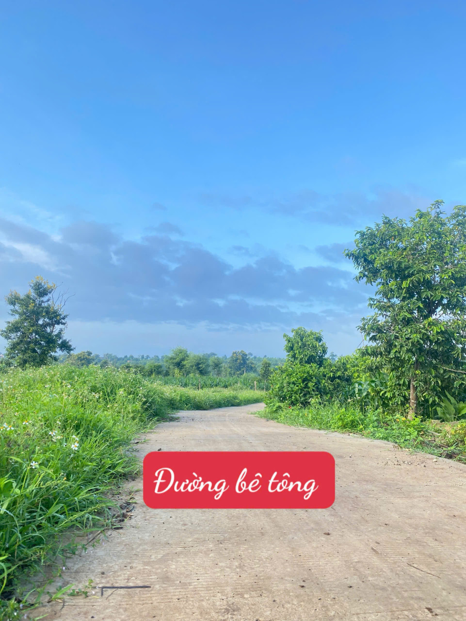 Đất đường Bê Tông 300m² ngang 10m giá 288 triệu Xã Ea Drông, TX. Buôn Hồ