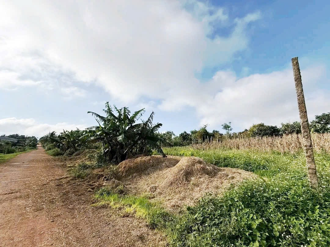 Bán đất 200m² giá 348 triệu Xã Ea Drông