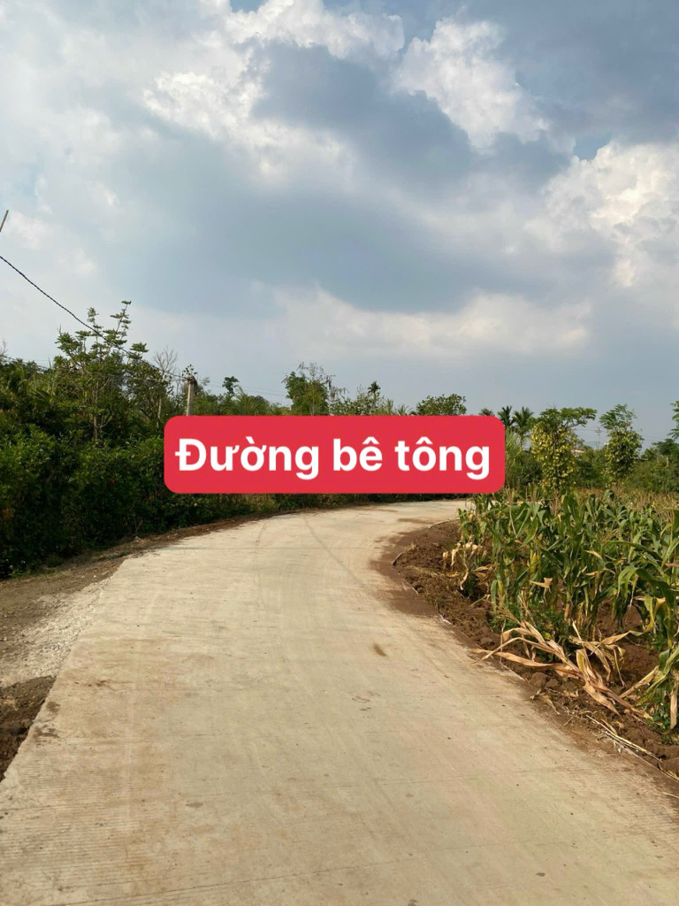Bán đất thổ cư dt 300m² ngang 10m giá 299 triệu Xã Ea Drông, Buôn Hồ