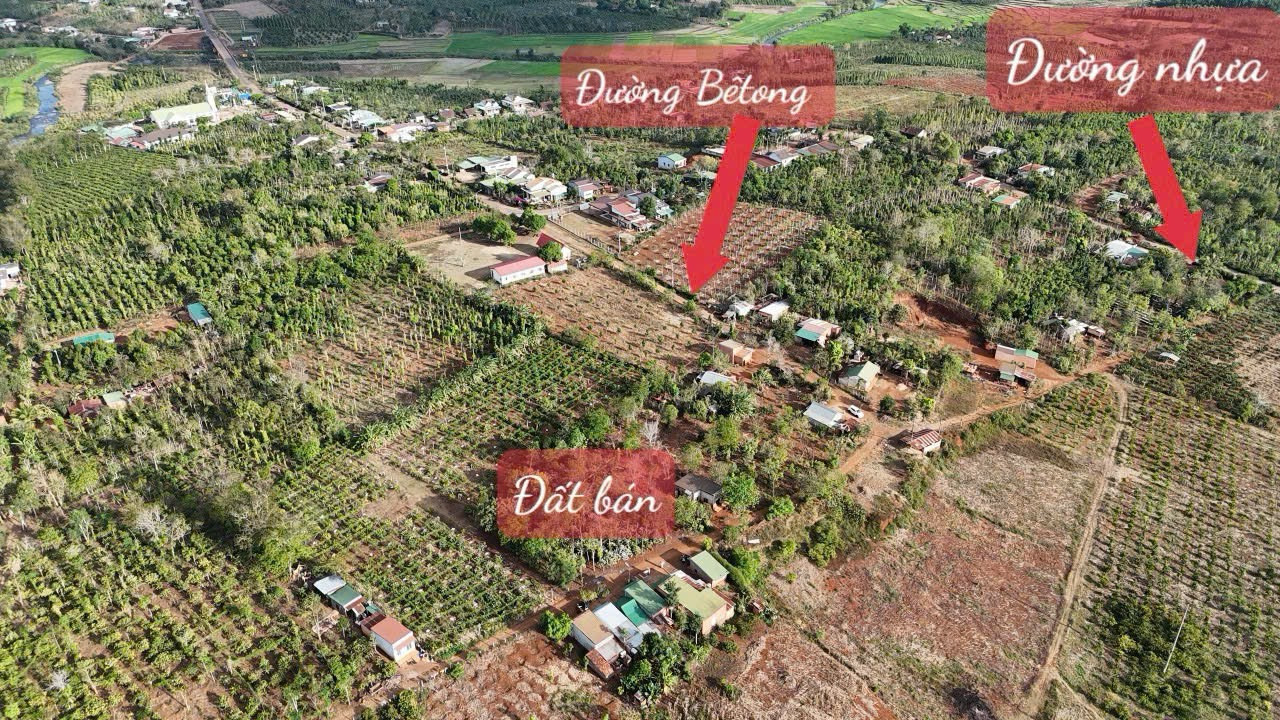 Bán đất 4497m² giá 259 triệu Xã Ea Drông