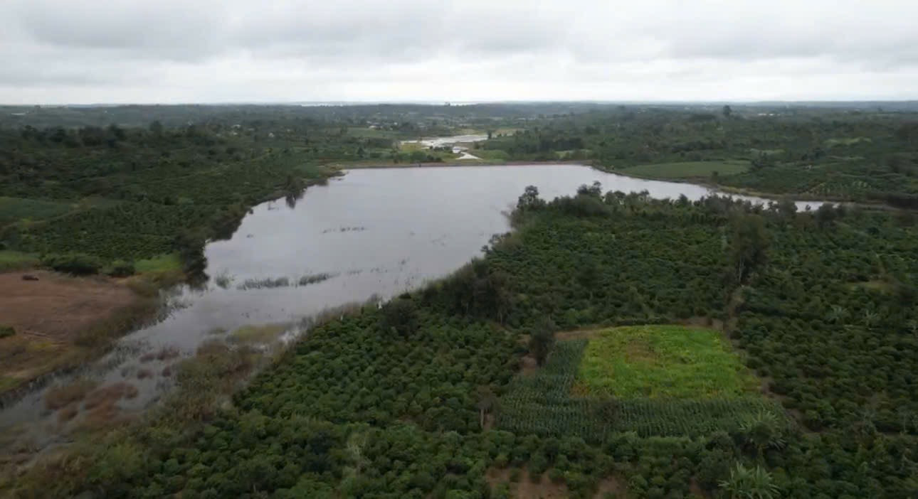 Bán đất 🌳🌳1,75 HA XÃ EA SIÊN THỊ XÃ BUÔN HỒ NGAY ĐẬP NƯỚC EA HUÝCH