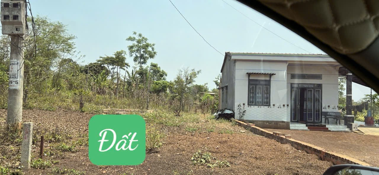 Bán đất 217m² 239 triệu tại Xã Ea Drông Thị xã Thị Xã Buôn Hồ