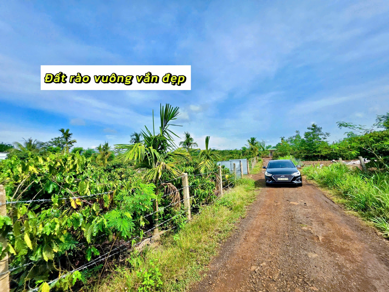 Bán đất 8000m² giá 1.89 tỷ tại Xã Ea Drông Thị xã Thị Xã Buôn Hồ