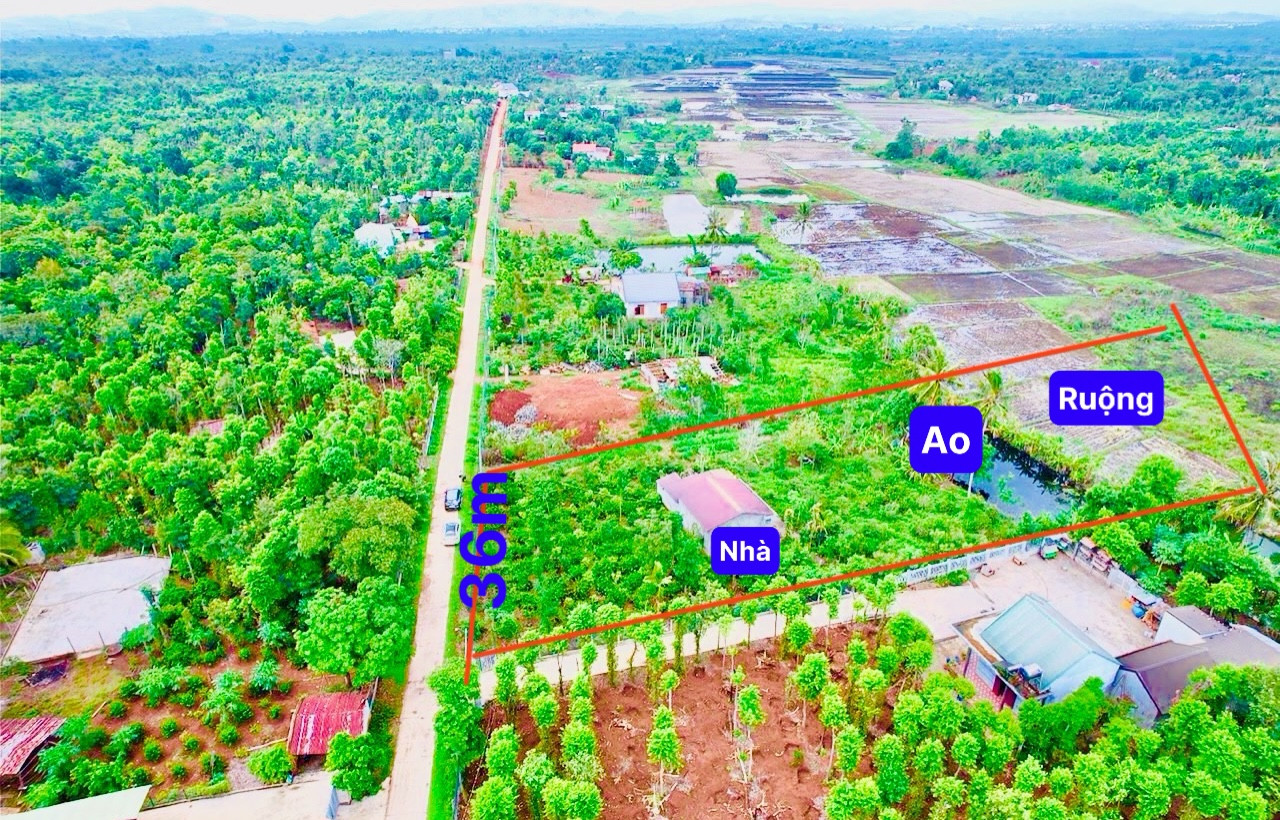 Bán đất 5200m² 1.45 tỷ tại Xã Ea Hu Huyện Cư Kuin