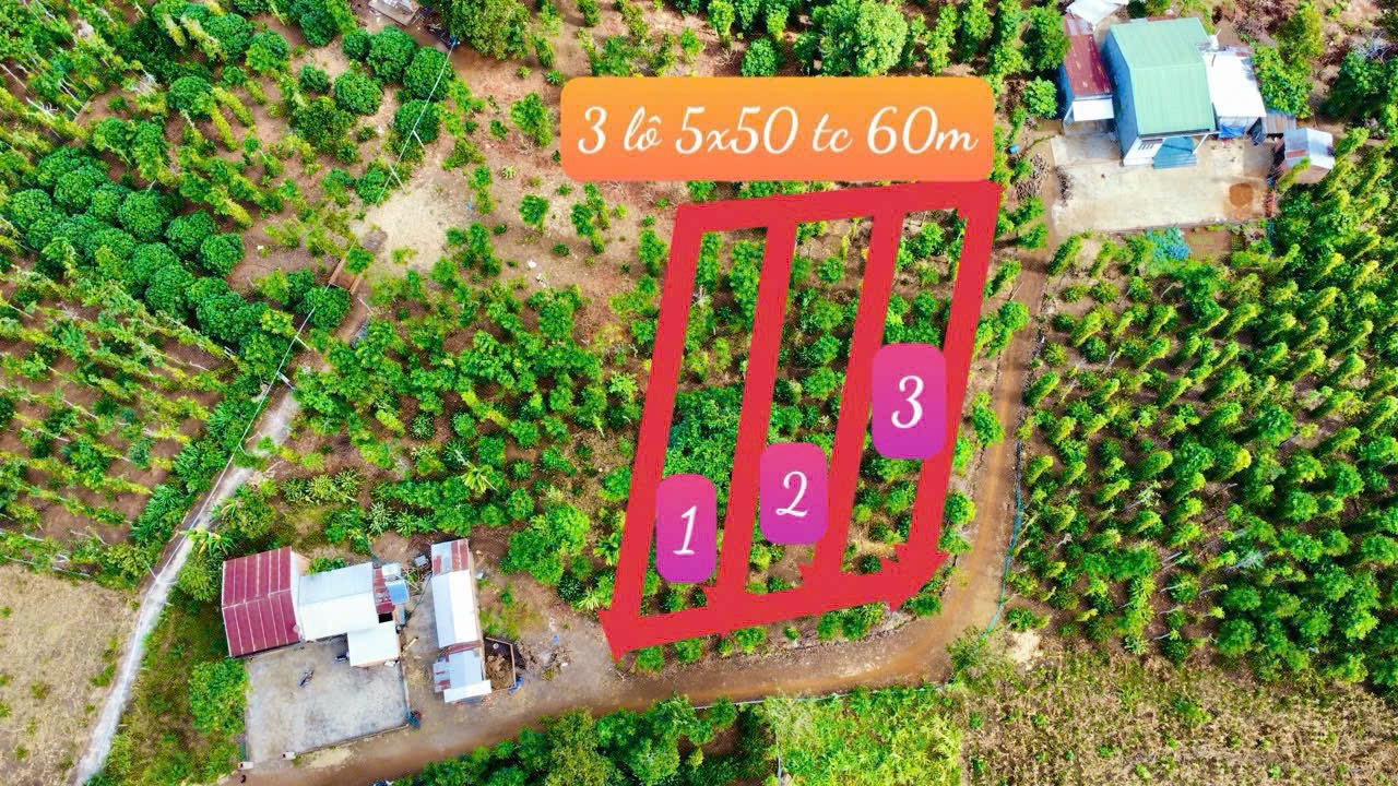 Bán đất 250m² 179 triệu tại Xã Ea Hu Huyện Cư Kuin