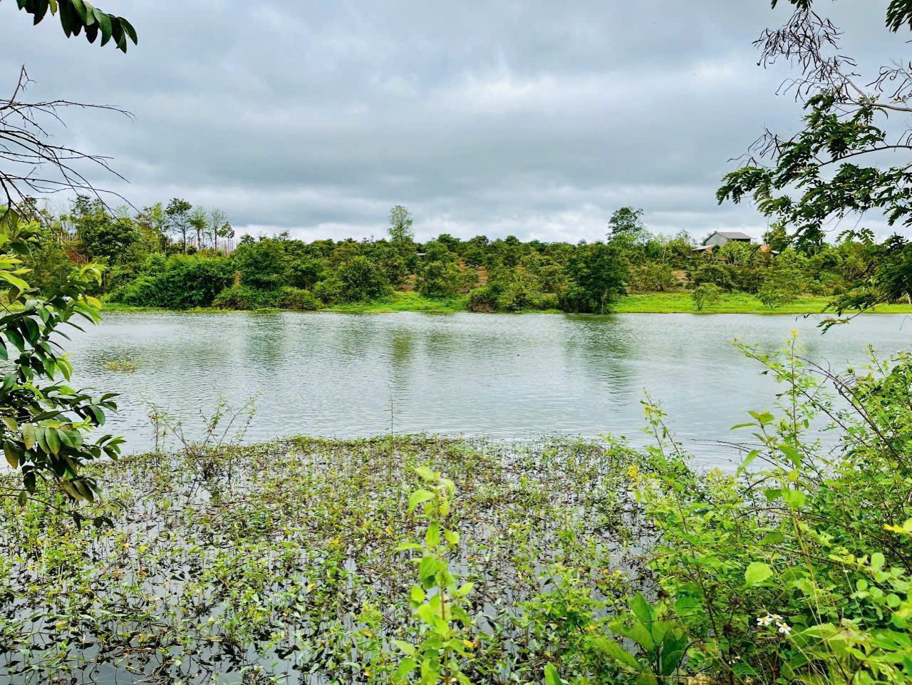 Bán đất 5000m² 1.1 tỷ tại Xã Ea Hu Huyện Cư Kuin