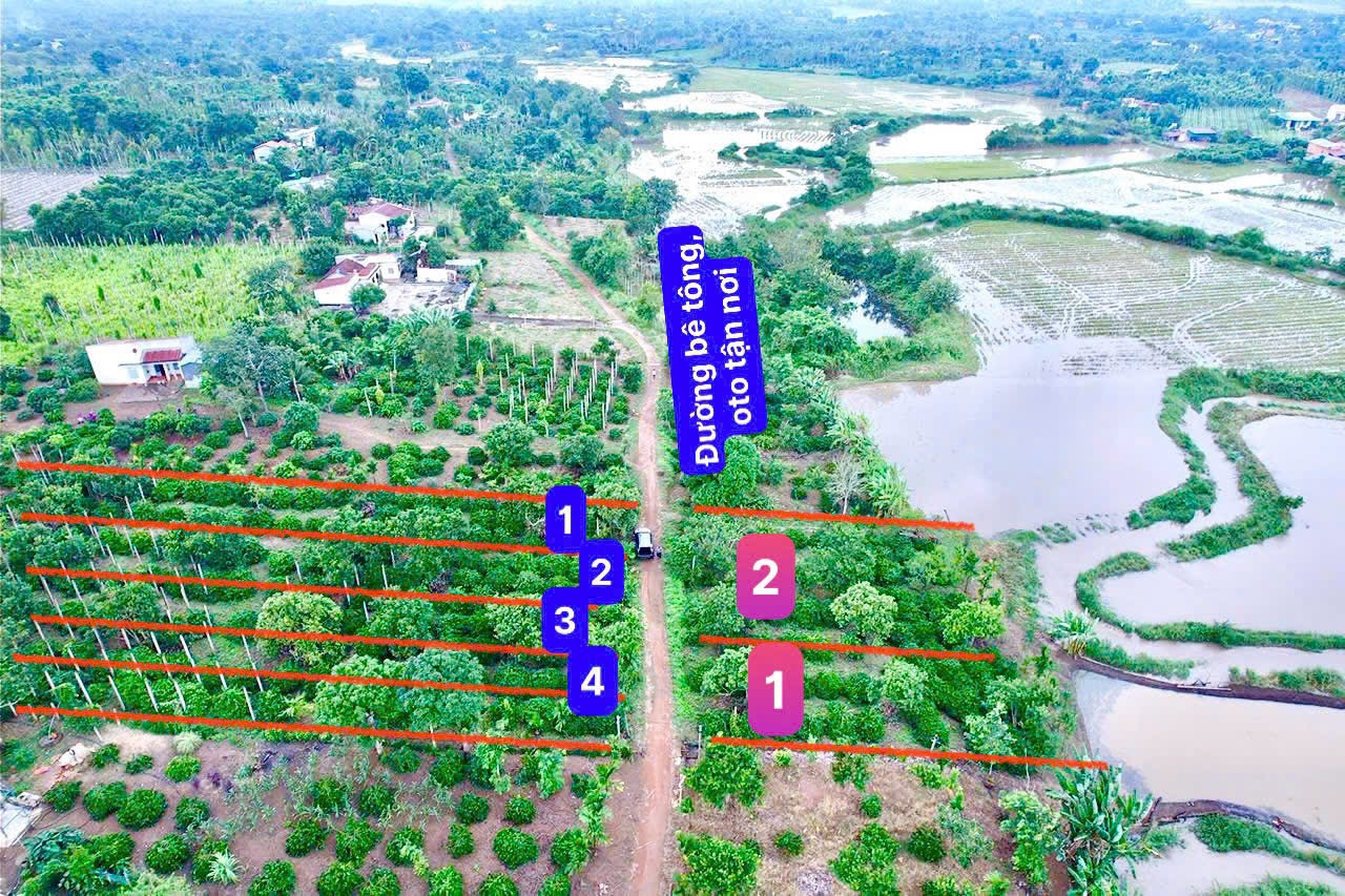 Diện tích: 6x57 tc 80m2 - view hồ- Cưkuin