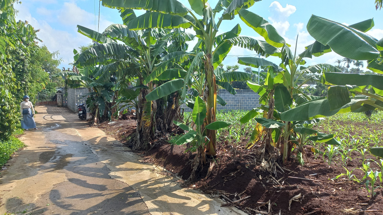 Bán  đất thổ cư 600m² ngang 20 dài 30 , giá 2.5 tỷ tại, Xã Ea Kao, Thành phố Buôn Ma Thuột, Đắk Lắk