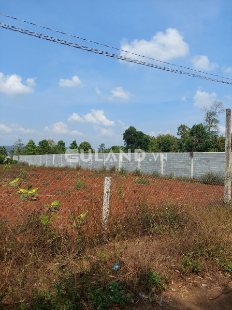 Bán  đất nông nghiệp 1088m² , giá 2.1 tỷ tại, Xã Ea Kao, Thành phố Buôn Ma Thuột, Đắk Lắk