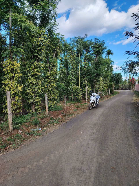 Bán đất 3100m² 2mt giá 2.3 tỷ tại Xã Ea Kao Thành phố Buôn Ma Thuột