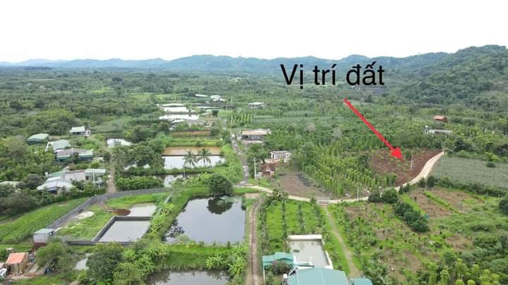 Bán  đất thổ cư 354.1m² , giá 950 triệu tại, Xã Ea Kao, Thành phố Buôn Ma Thuột, Đắk Lắk