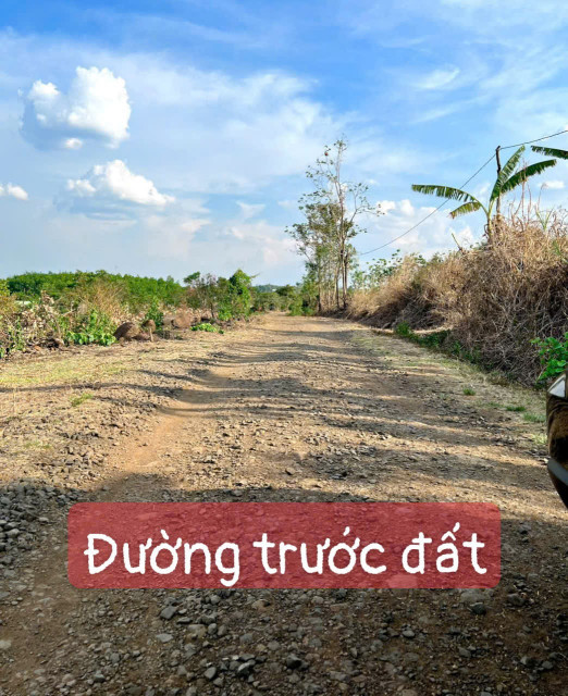 Bán đất 992m² 149 triệu tại Xã Ea Kiết Huyện Cư M'gar