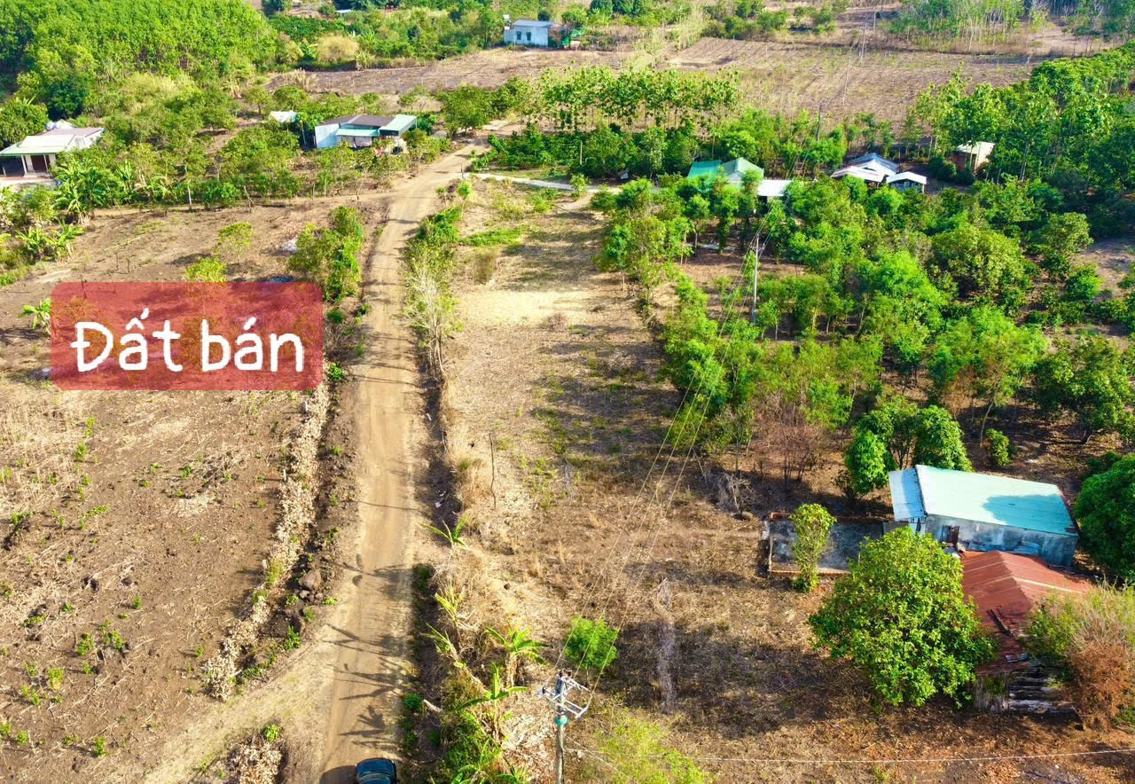 Bán đất 992m² 149 triệu tại Xã Ea Kiết Huyện Cư M'gar