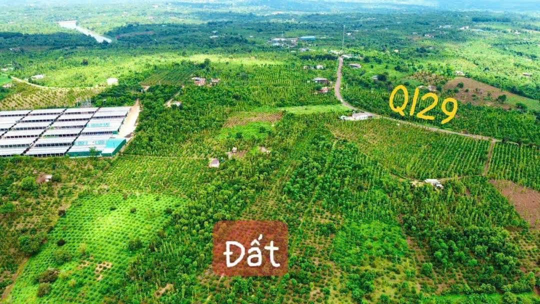 Bán đất 534.2m² giá 150 triệu tại Xã Ea Kiết Huyện Cư M'gar