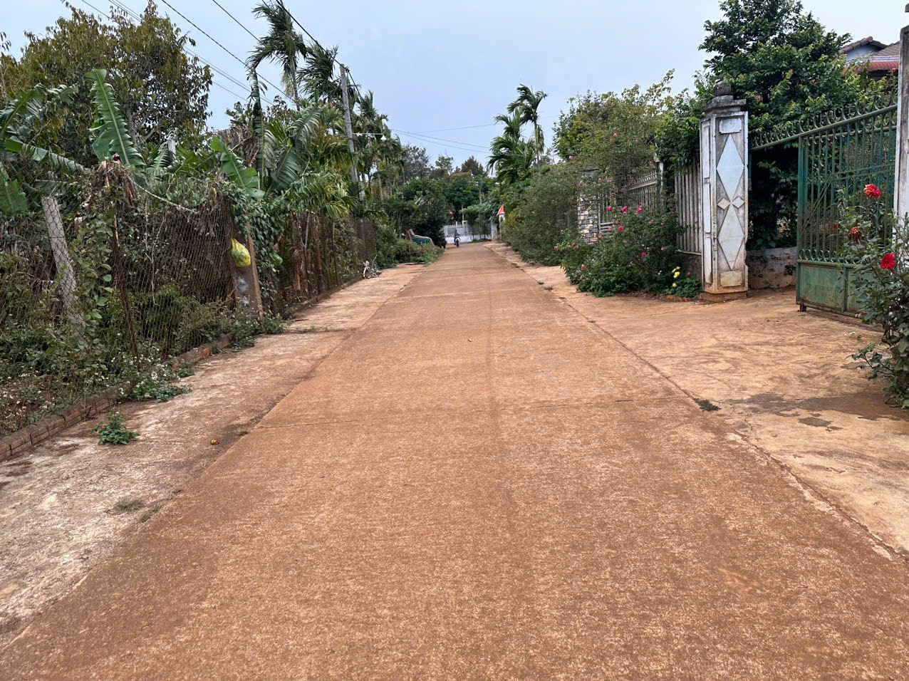 Bán đất 347.2m² ngang 15m giá 3.3 tỷ Xã Ea Knuếc
