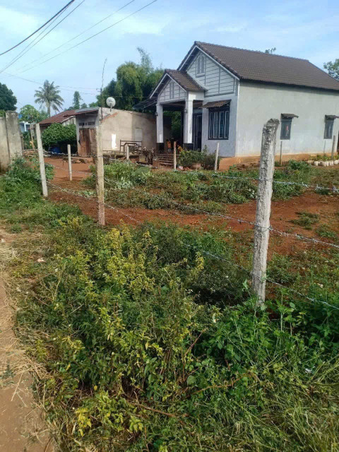 Ea KNuec 1 lô chân dài cách Ql26 tầm 1km5
