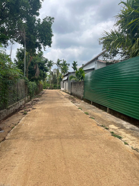 Bán đất 391.2m² ngang 10m giá 1.3 tỷ Xã Ea Ktur