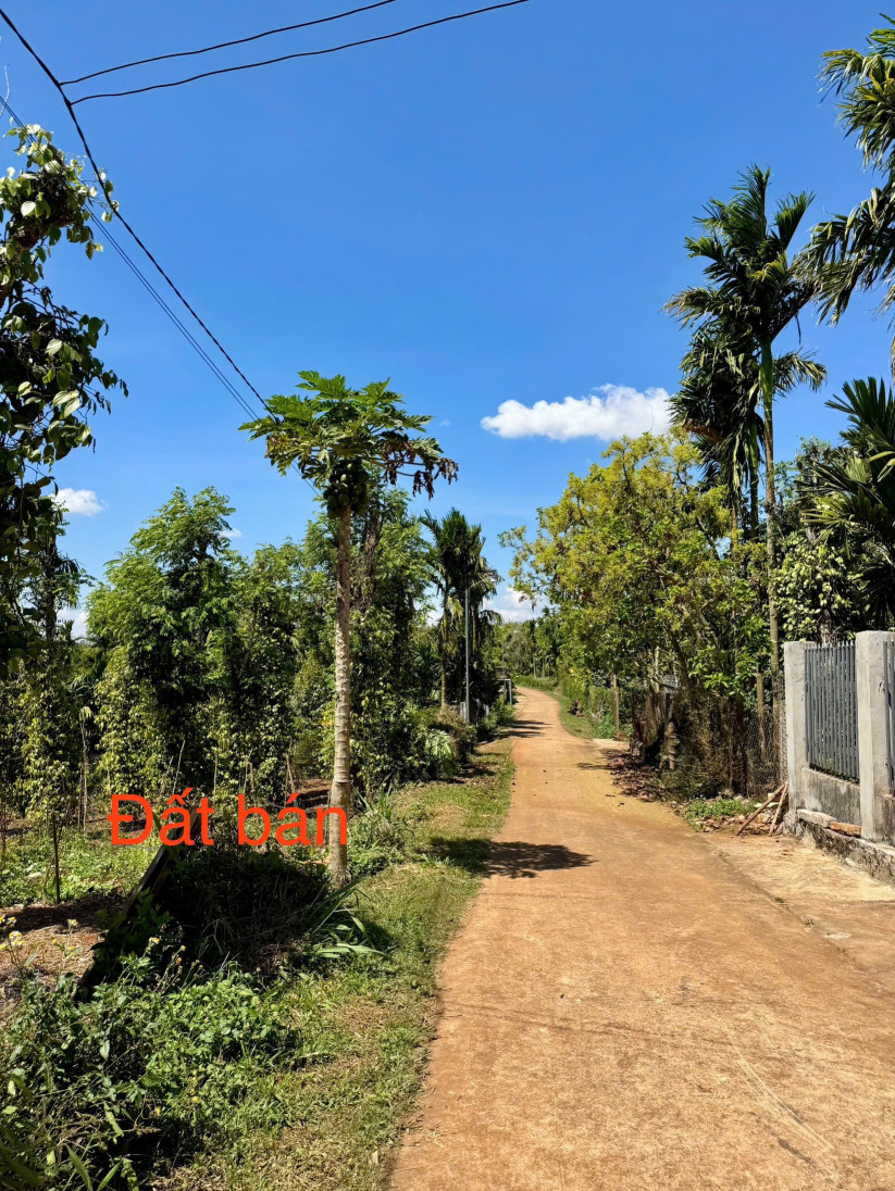 Bán đất 550m² giá 519 triệu Xã Ea Ktur