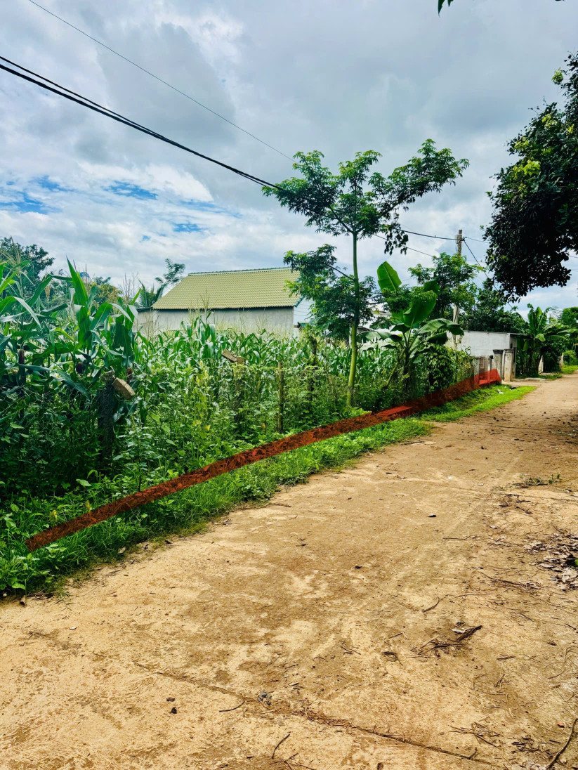 Bán đất 180m² giá 310 triệu Xã Ea Ktur