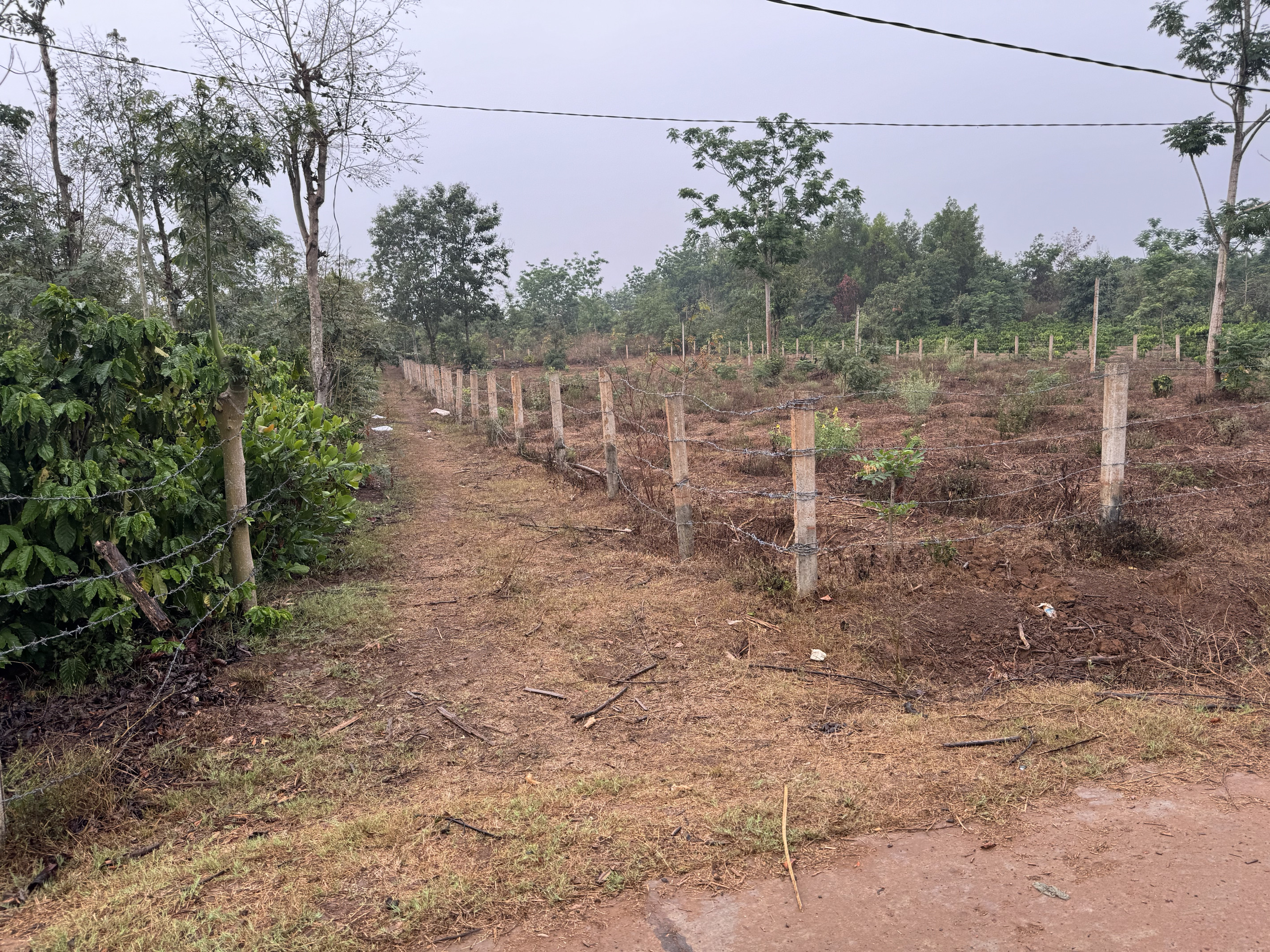 Bán đất 2651m² ngang 30,5m giá 1 tỷ Xã Ea Ktur (Thôn 6, xã Ea Tiêu cũ)