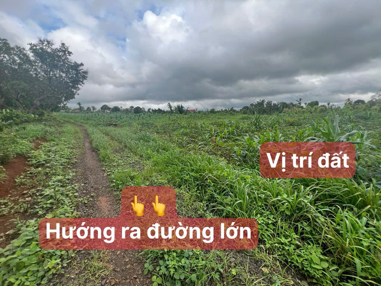 Bán đất 548.8m² 159 triệu tại Xã Ea Kuêh Huyện Cư M'gar