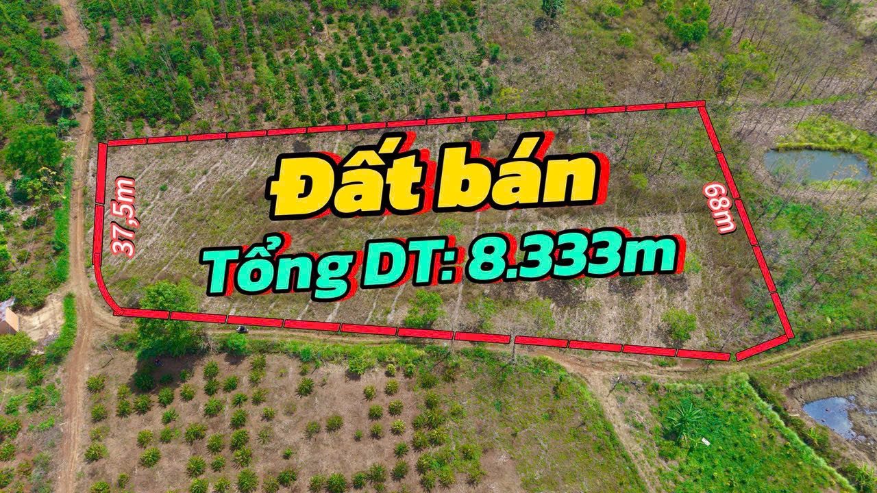 Bán đất 8461.4m² ngang 100m giá 1.45 tỷ tại Xã Ea M’Droh
