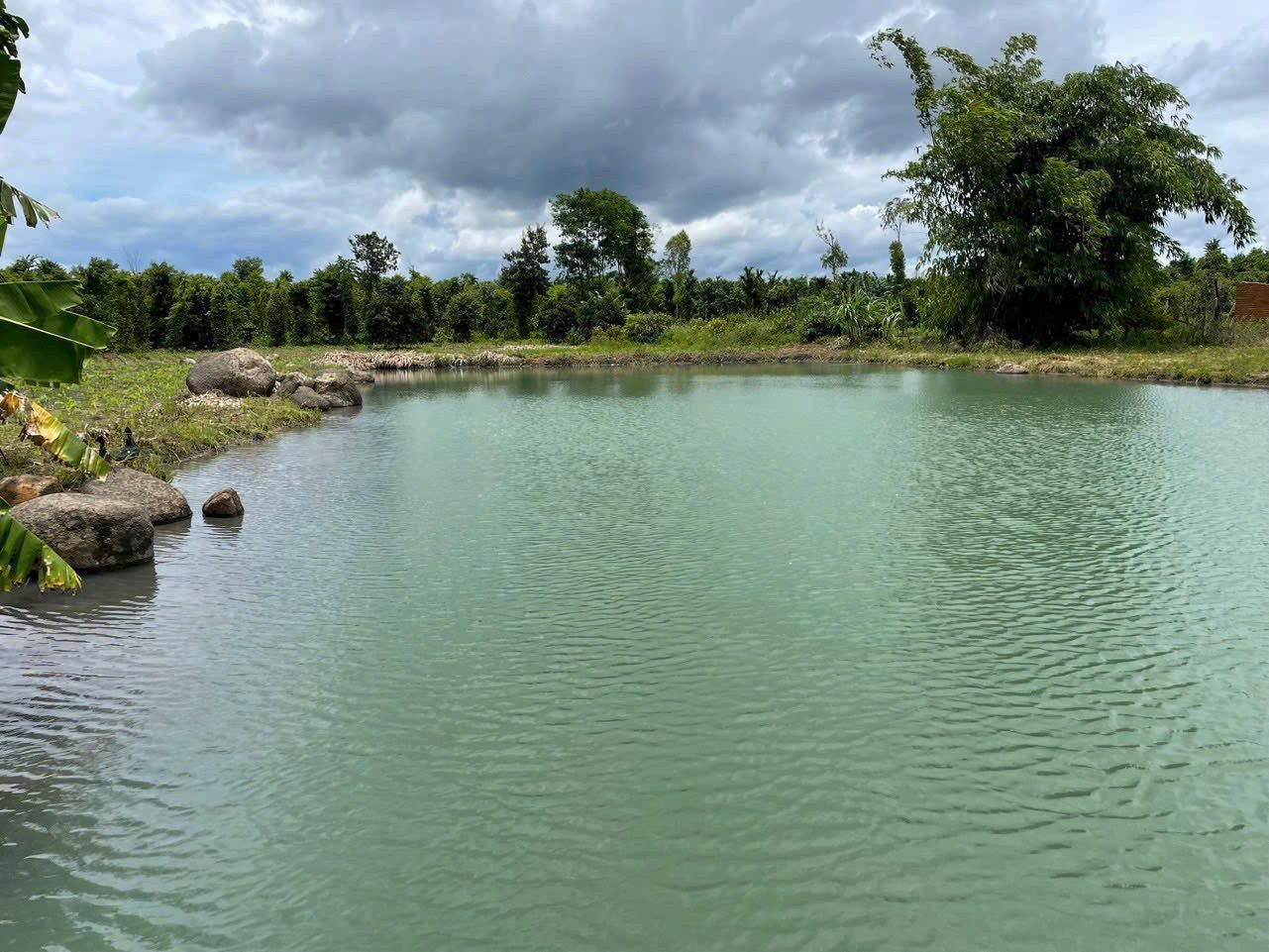 Bán 🌳 Lô đất hơn 1 hec view đẹp siêu hiếm xã Ea Mnang, Cư M’gaả