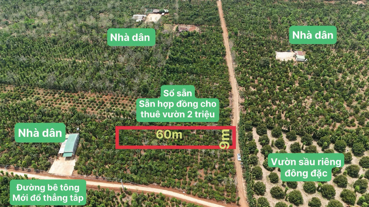 535m2 ngang 9  full tiêu