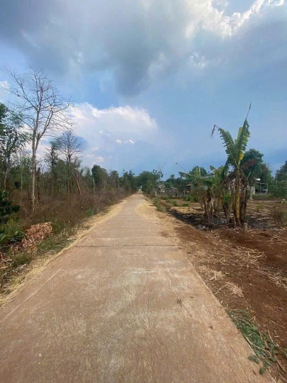 Bán đất 282.5m² 260 triệu tại Xã Ea M'nang Huyện Cư M'gar
