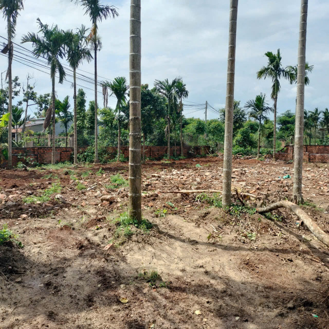 Bán đất 312m² ngang 5m giá 135 triệu Xã Ea Na