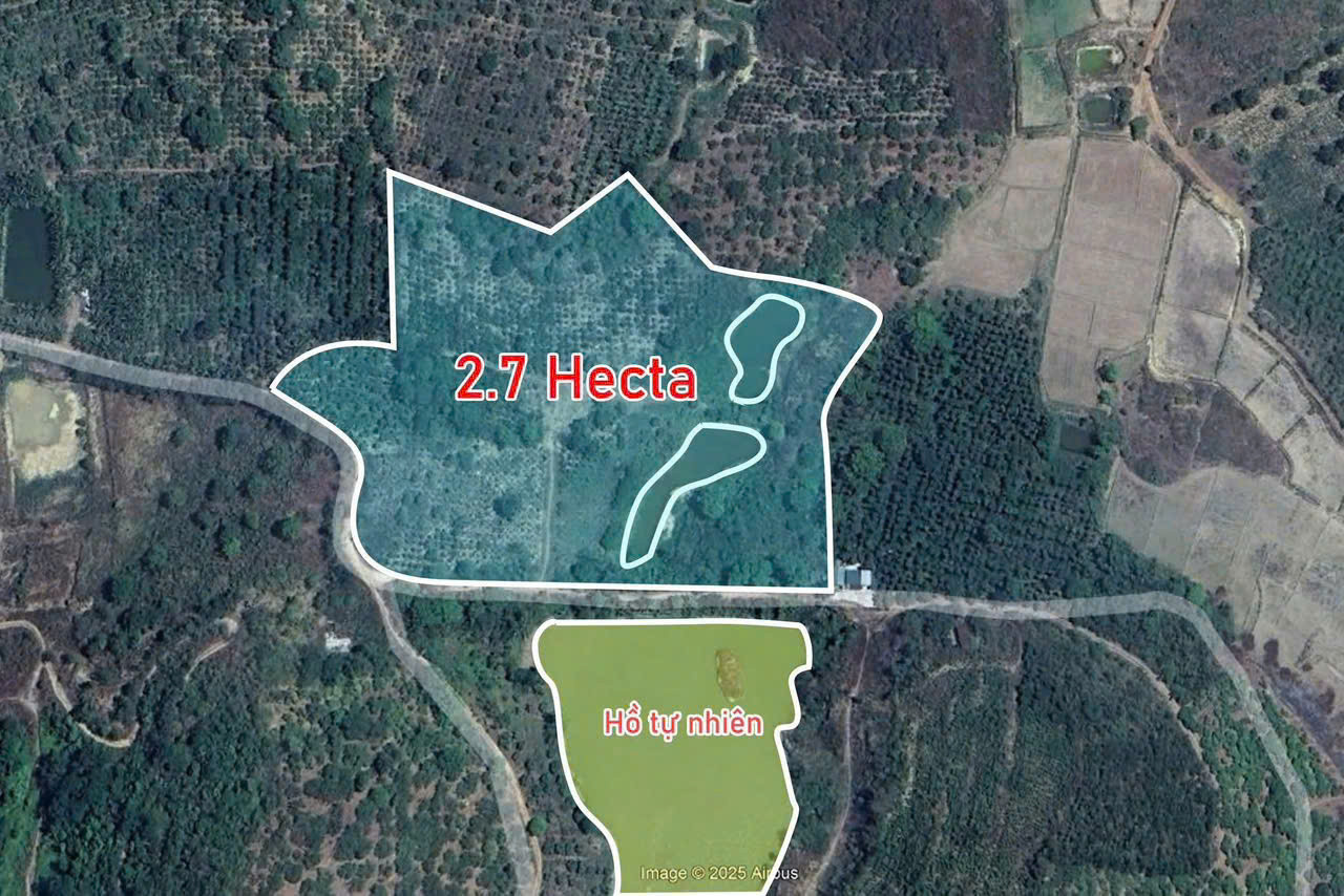Bán đất 28578.9m² ngang 200m giá 3 tỷ Xã Ea Na