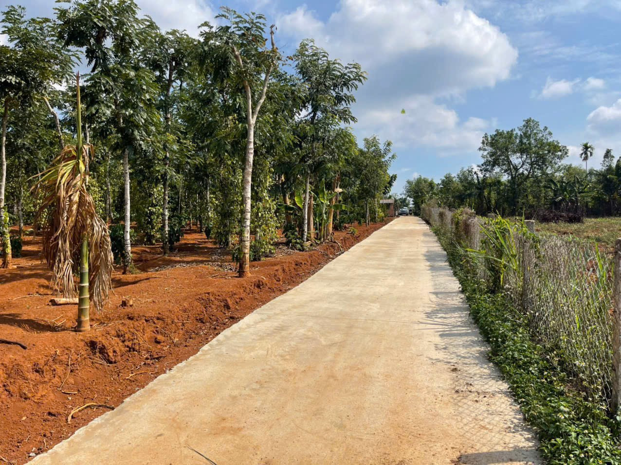 Bán đất 302.5m² 699 triệu tại Xã Ea Na Huyện Krông A Na