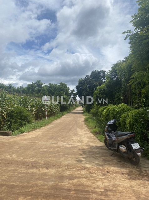BÁN LÔ Ô BÀN CỜ - QUỲNH NGỌC, XÃ EANA, HUYỆN KRONG ANA, TỈNH ĐẮK LẮK, GIÁ GIẢM SÂU ❤️